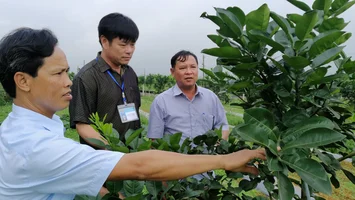 Phan Bá Ngọc - Đại biểu HĐND dám nghĩ, dám làm