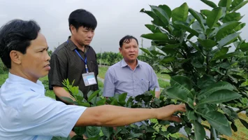 Phan Bá Ngọc - Đại biểu HĐND dám nghĩ, dám làm