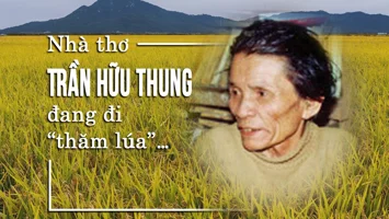 Nhà thơ Trần Hữu Thung đang đi “thăm lúa”…