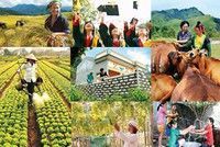Nghệ An: Phân bổ hơn 404 tỷ đồng thực hiện Chương trình mục tiêu Quốc gia giảm nghèo bền vững năm 2022