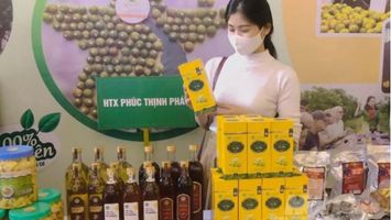 Sản phẩm OCOP 'nở hoa' trên đất Quỳ Châu