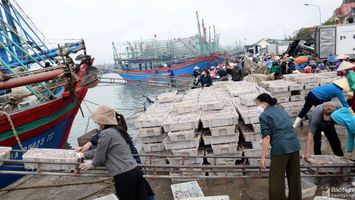 Nghệ An bàn giải pháp tháo gỡ khó khăn cho ngư dân