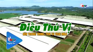 Điều thú vị bên trong trang trại TH