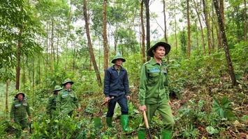 Bộ Nông nghiệp và Phát triển nông thôn trả lời kiến nghị cử tri về kinh phí công tác bảo vệ rừng