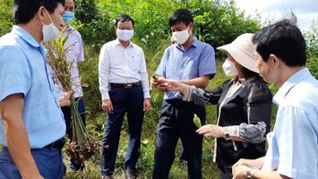 Kinh nghiệm và giải pháp nâng cao chất lượng giám sát chuyên đề của các Ban HĐND tỉnh