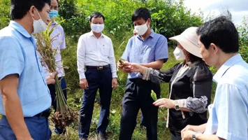 Kinh nghiệm và giải pháp nâng cao chất lượng giám sát chuyên đề của các Ban HĐND tỉnh