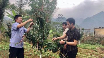 Hòa Bình: Xây dựng nền nông nghiệp chất lượng cao