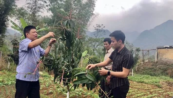 Hòa Bình: Xây dựng nền nông nghiệp chất lượng cao