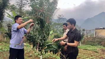 Hòa Bình: Xây dựng nền nông nghiệp chất lượng cao