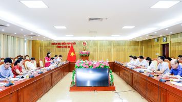 Đoàn Đại biểu Quốc hội làm việc với UBND tỉnh về công tác khám, chữa bệnh