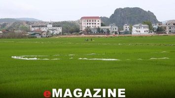 Được gia hạn 24 tháng, Vicem Hoàng Mai có hoàn thành dự án đô thị?
