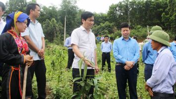 Quảng Ninh đưa chương trình nông thôn mới vào thực chất, hiệu quả, toàn diện và bền vững