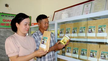 Một số địa phương gặp khó trong lựa chọn sản phẩm OCOP