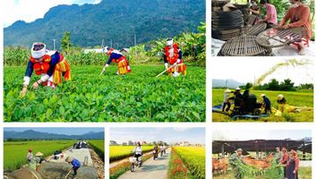 Giám sát việc triển khai nghị quyết về thực hiện 03 chương trình mục tiêu quốc gia tại Nghệ An