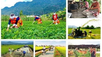 Giám sát việc triển khai nghị quyết về thực hiện 03 chương trình mục tiêu quốc gia tại Nghệ An