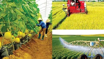 Lời nguyền – Đôi điều suy nghĩ