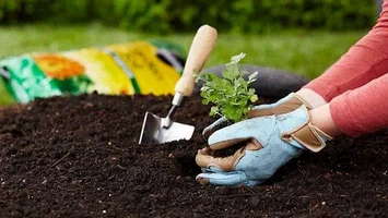 Bộ Tài nguyên và Môi trường trả lời kiến nghị cử tri về việc sửa đổi Điều 64 Luật Khoáng sản