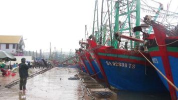 Bộ Nông nghiệp và Phát triển nông thôn trả lời kiến nghị cử tri về chính sách hỗ trợ ngư dân khắc phục rủi ro do thiên tai trên biển