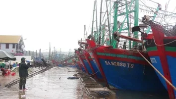 Bộ Nông nghiệp và Phát triển nông thôn trả lời kiến nghị cử tri về chính sách hỗ trợ ngư dân khắc phục rủi ro do thiên tai trên biển