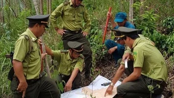 Bộ Nội vụ trả lời kiến nghị của cử tri về bổ sung biên chế cho các cơ quan quản lý, bảo vệ rừng