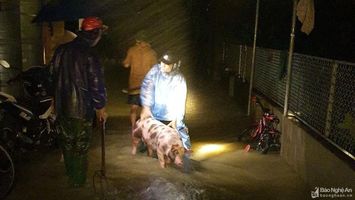 Đêm trắng chạy đua với mưa lũ của người dân Thanh Chương