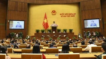 Trí tuệ và bản lĩnh của đại biểu Quốc hội