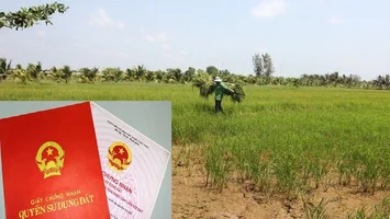 Trả lời cử tri Lê Viết Hoàng, xóm Trường Phú, xã Nghi Trường, huyện Nghi Lộc kiến nghị trả lại thửa đất của gia đình đã đưa vào làm sân bóng
