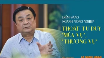 Điểm sáng ngành Nông nghiệp: Thoát tư duy 'mùa vụ', 'thương vụ'