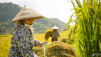 Chính sách về nhân sự, việc làm, tài chính có hiệu lực từ tháng 2/2023