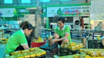 Thái Nguyên: Sản phẩm OCOP trở thành động lực phát triển kinh tế