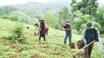 Giải quyết đất ở, đất sản xuất cho vùng đồng bào dân tộc thiểu số và miền núi trong sửa đổi Luật Đất đai