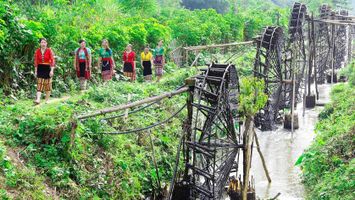 Phát huy tiềm năng, lợi thế vùng đồng bào dân tộc thiểu số  tỉnh Nghệ An trong phát triển kinh tế - xã hội