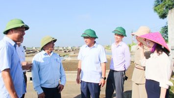 Nghiên cứu kiến nghị tỉnh phân cấp triển khai một số chính sách hỗ trợ đầu tư phát triển