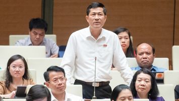 Giáo sư Thái Văn Thành: Bộ Giáo dục và Đào tạo không nhất thiết biên soạn sách giáo khoa cho tất cả các môn học