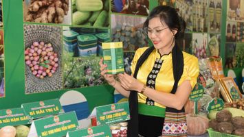 Nông dân vươn lên làm chủ công nghệ số