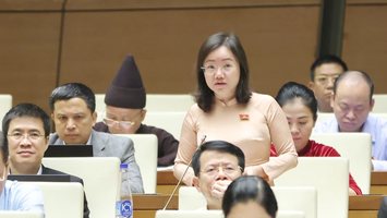 Đại biểu Quốc hội đoàn Nghệ An đề nghị nâng tỷ lệ tiền đặt trước để hạn chế 'cò đấu giá', bỏ cọc