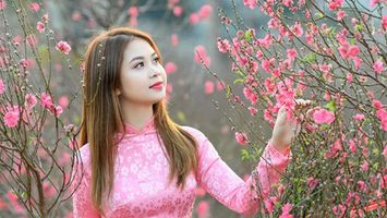 Thủ tướng đồng ý nghỉ Tết Nguyên đán Giáp Thìn 7 ngày