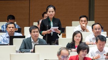 Đại biểu Võ Thị Minh Sinh: Định hướng và chính thống hóa các trang fanpage của các tổ chức, cơ quan