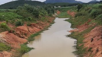 Sở Nông nghiệp và Phát triển nông thôn trả lời cử tri xã Yên Hợp, huyện Quỳ Hợp về việc xây dựng dự án kênh tiêu từ Quỳ Châu xuống đến địa phận xã Yên Hợp