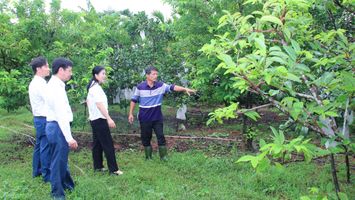 Thay đổi tư duy làm chính sách theo hướng nào?