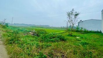 Sớm triển khai thực hiện dự án khu đô thị mới Đông Vĩnh