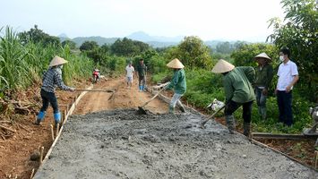 Quan tâm hỗ trợ xi măng để xây dựng đường giao thông nông thôn