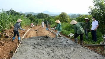 Quan tâm hỗ trợ xi măng để xây dựng đường giao thông nông thôn