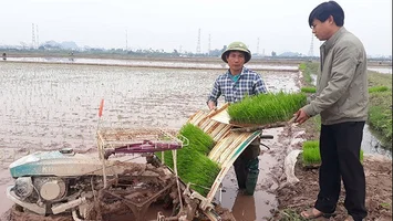 Sở Nông nghiệp và Phát triển nông thôn trả lời cử tri Nguyễn Hữu Bình, xóm Liêu Tiêu, xã Lưu Sơn, huyện Đô Lương về chính sách hỗ trợ nông dân mua máy cày, máy gặt và trợ giá giống