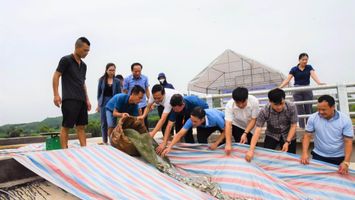 Tạo sinh kế bền vững ở vùng đồng bào dân tộc thiểu số
