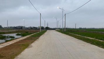 Bộ Tài nguyên và Môi trường trả lời kiến nghị cử tri về sửa đổi, hoàn thiện quy định về đấu giá quyền sử dụng đất và nguyên tắc giao đất nông nghiệp