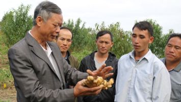 Huyện biên giới Kỳ Sơn có thêm 6 sản phẩm đạt OCOP 3 sao cấp tỉnh