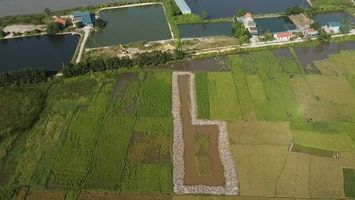 Luật hoá quy định liên quan đến chế độ sử dụng đất có mặt nước là ao, hồ, đầm