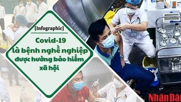 [Infographic] Quy định về Covid-19 là bệnh nghề nghiệp được hưởng bảo hiểm xã hội