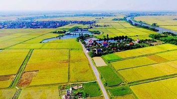 Công nhận quyền đối với hộ gia đình, cá nhân không có giấy tờ về quyền sử dụng đất